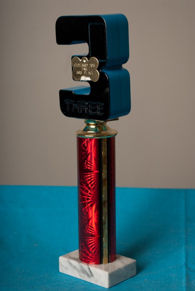 Chiditarod_trophies_2013(021)