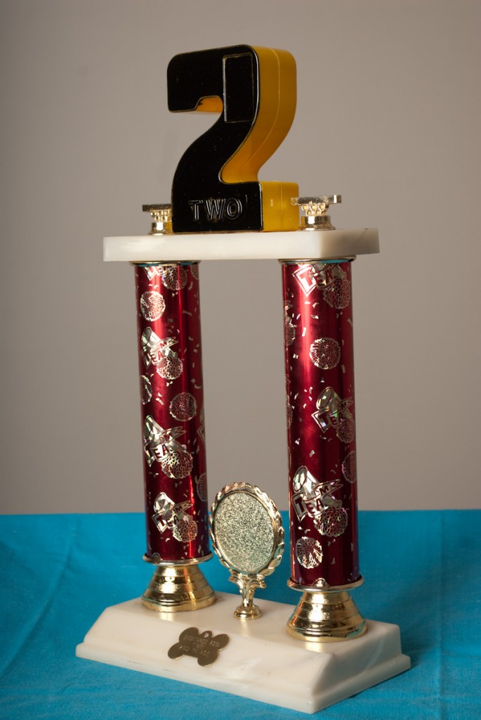Chiditarod_trophies_2013(023)